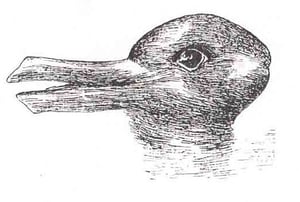 Is it a lead or a signal? a duck or a rabit?