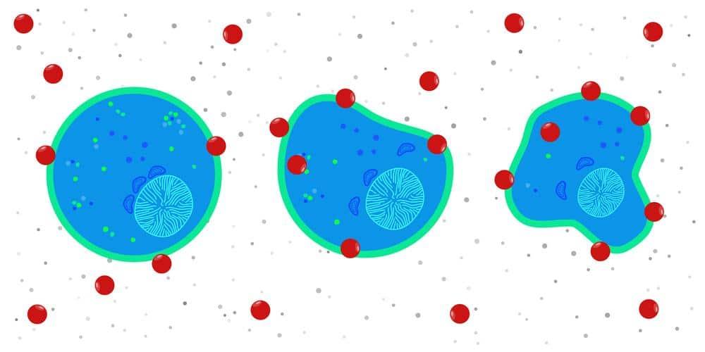 full optimization of an intent data stack requires free radicals